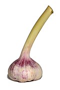Verse knoflook