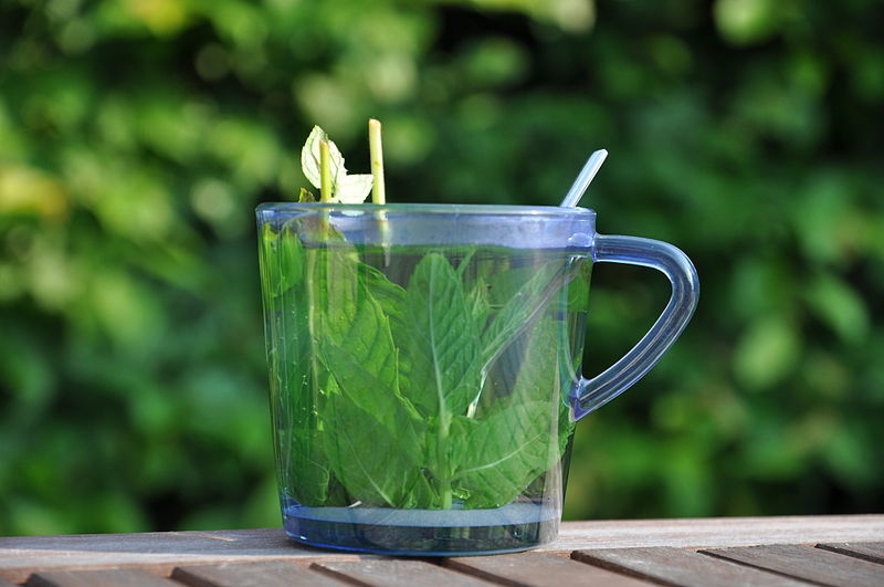 steeping tea