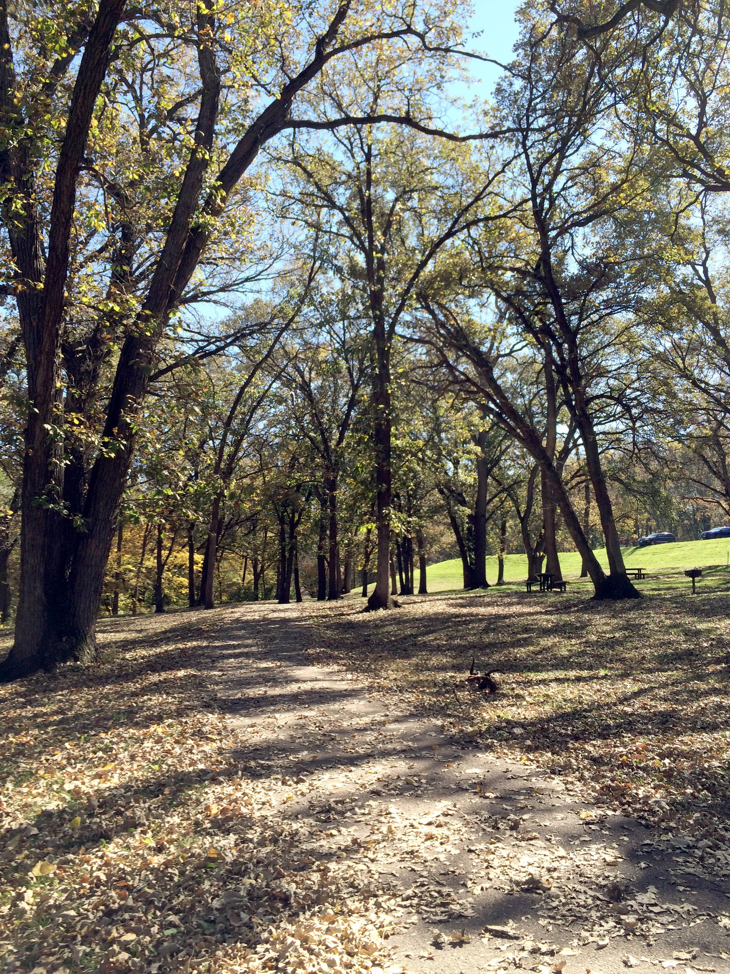 park trail